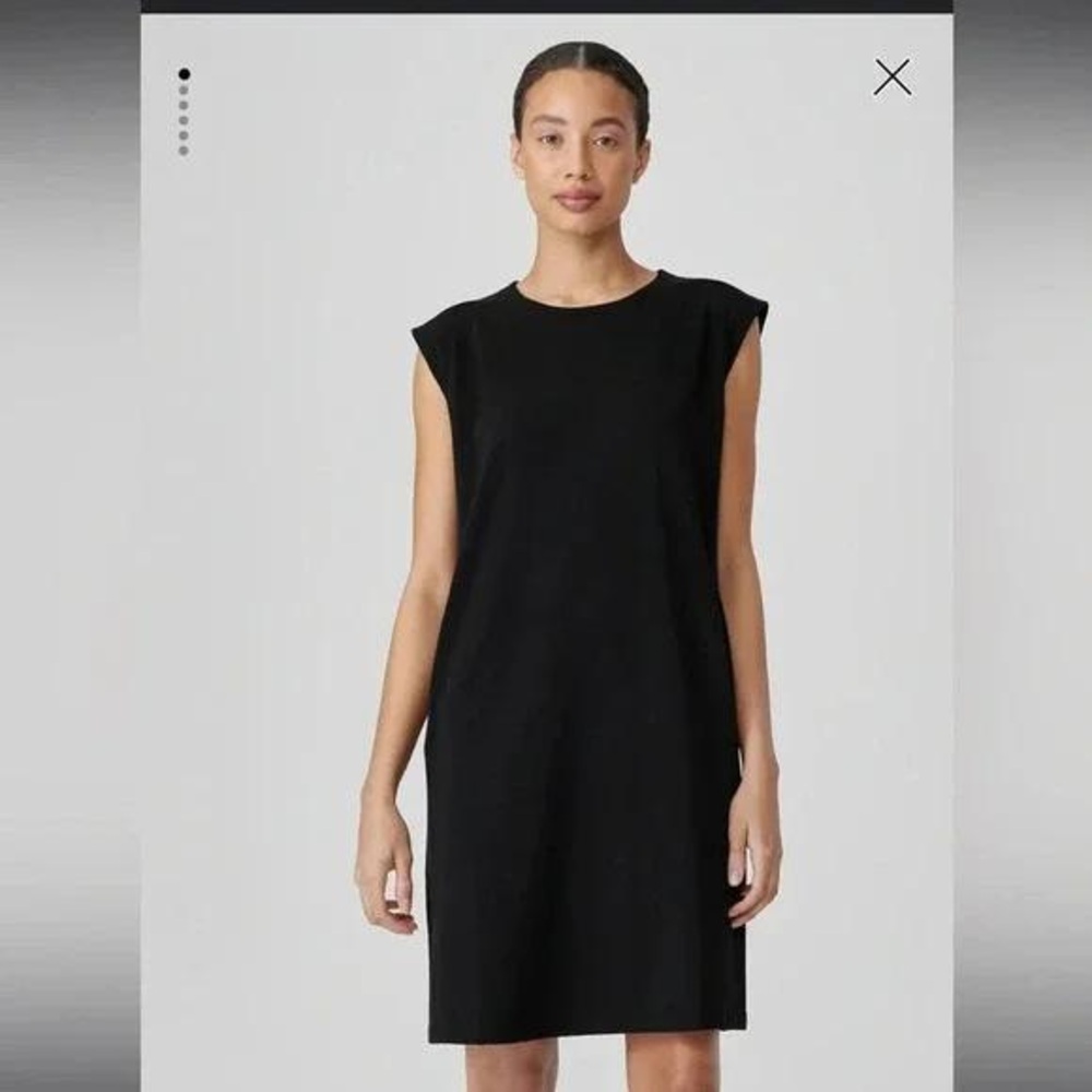 Elegant Black Sleeveless Dress